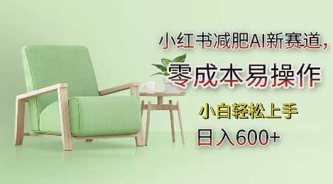 小红书减肥AI新赛道,零成本易操作,日入多张,小白轻松上手【揭秘】-轻创社项目网