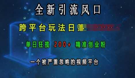 全新引流风口,跨平台玩法日入上k,单日狂揽200+精准创业粉,一个被严重忽略的视频平台-轻创社项目网