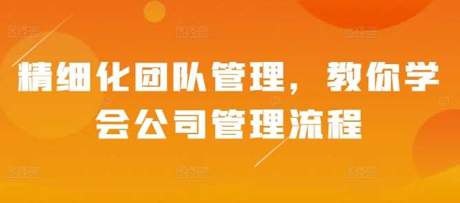 精细化团队管理,教你学会公司管理流程-轻创社项目网