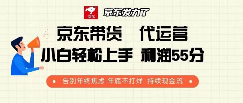 (13833期)京东带货 代运营 利润55分 告别年终焦虑 年底不打烊 持续现金流-轻创社项目网