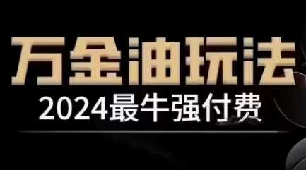2024最牛强付费,万金油强付费玩法,干货满满,全程实操起飞(更新12月)-轻创社项目网