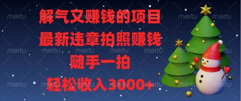 (13686期)解气又赚钱的项目,最新违章拍照赚钱,随手一拍,轻松收入3000+-轻创社项目网