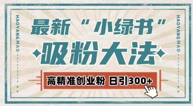 最新自动化“吸粉术”,小绿书激活私域流量,每日轻松吸引300+高质精准粉!-轻创社项目网