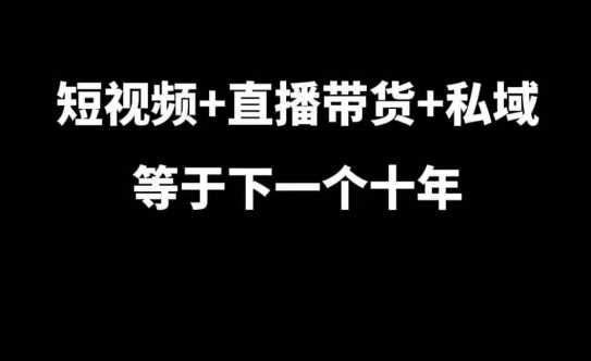 短视频+直播带货+私域等于下一个十年,大佬7年实战经验总结-轻创社项目网