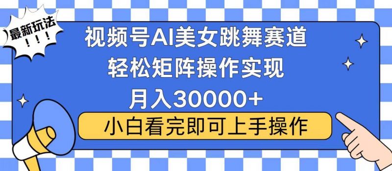 (13813期)视频号蓝海赛道玩法,当天起号,拉爆流量收益,小白也能轻松月入30000+-轻创社项目网