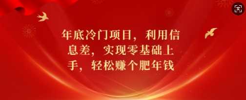 年底冷门项目,利用信息差,实现零基础上手,轻松赚个肥年钱【揭秘】-轻创社项目网