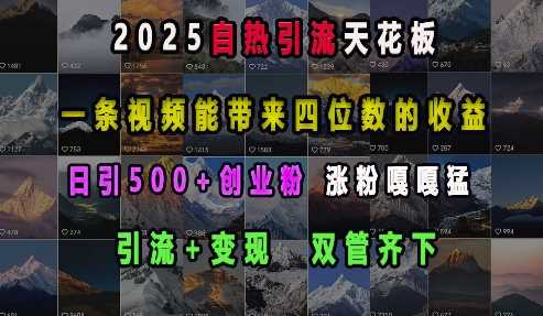 2025自热引流天花板,一条视频能带来四位数的收益,引流+变现双管齐下,日引500+创业粉,涨粉嘎嘎猛-轻创社项目网