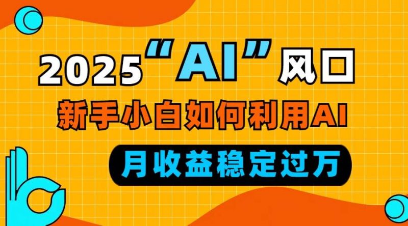 (13821期)2025“ AI ”风口,新手小白如何利用ai,每月收益稳定过万-轻创社项目网