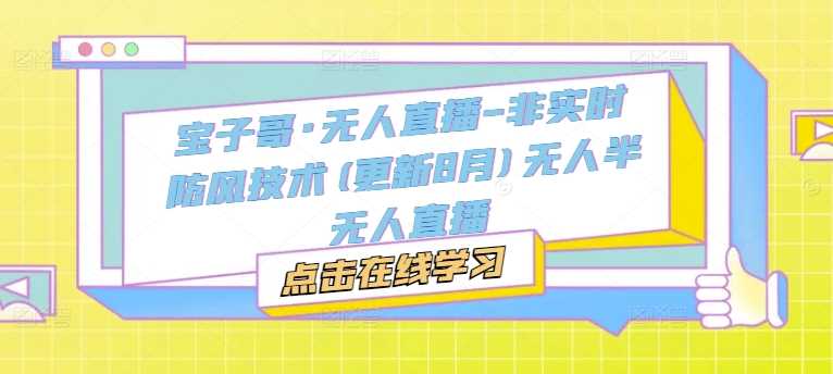宝子哥·无人直播-非实时防风技术(更新11月)无人半无人直播-轻创社项目网