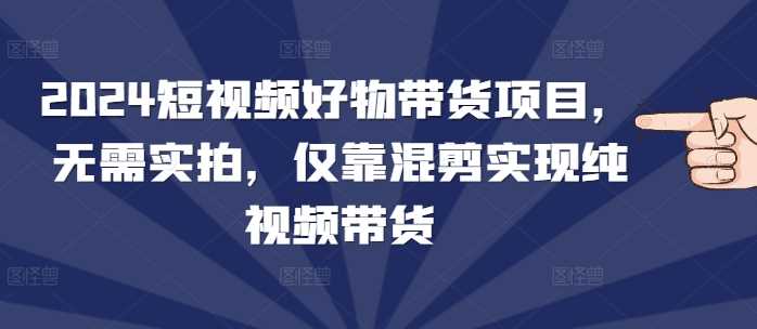 2024短视频好物带货项目，无需实拍，仅靠混剪实现纯视频带货-轻创社项目网