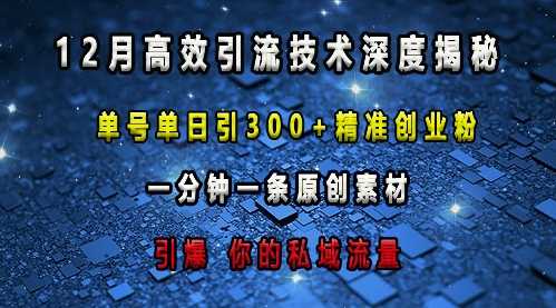 最新高效引流技术深度揭秘 ,单号单日引300+精准创业粉,一分钟一条原创素材,引爆你的私域流量-轻创社项目网