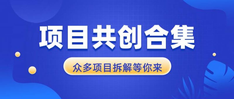 (13778期)项目共创合集,从0-1全过程拆解,让你迅速找到适合自已的项目-轻创社项目网