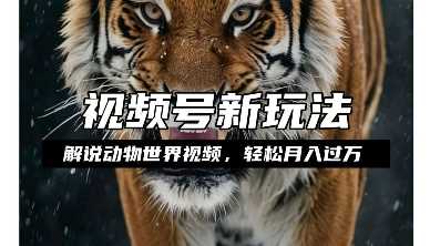 利用动物世界解说视频,赚分成计划收益,轻松月入过W,操作简单【揭秘】-轻创社项目网