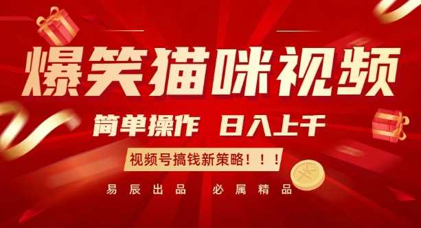 爆笑猫咪视频:简单操作,日入过K,视频号搞钱新策略【揭秘】-轻创社项目网