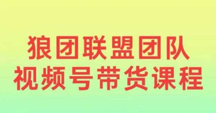 狼团联盟2024视频号带货,0基础小白快速入局视频号-轻创社项目网