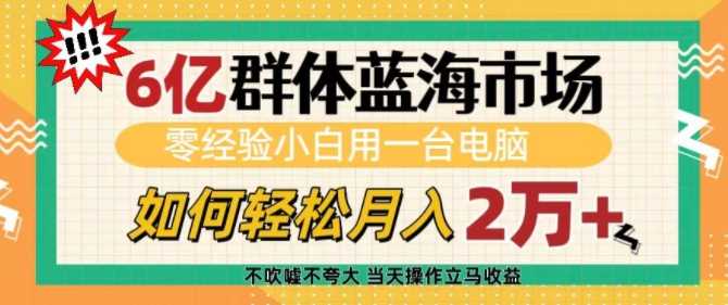 6亿群体蓝海市场,零经验小白用一台电脑,如何轻松月入过w【揭秘】-轻创社项目网