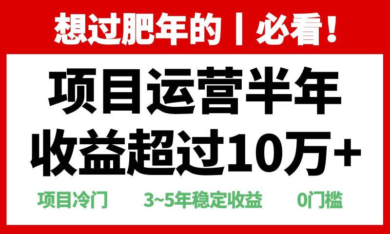(13663期)年前过肥年的必看的超冷门项目,半年收益超过10万+,-轻创社项目网