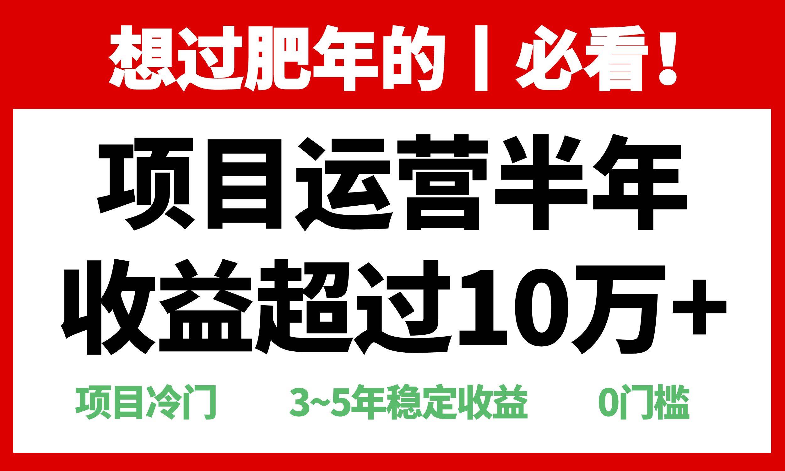 图片[1]-（13663期）年前过肥年的必看的超冷门项目，半年收益超过10万+，