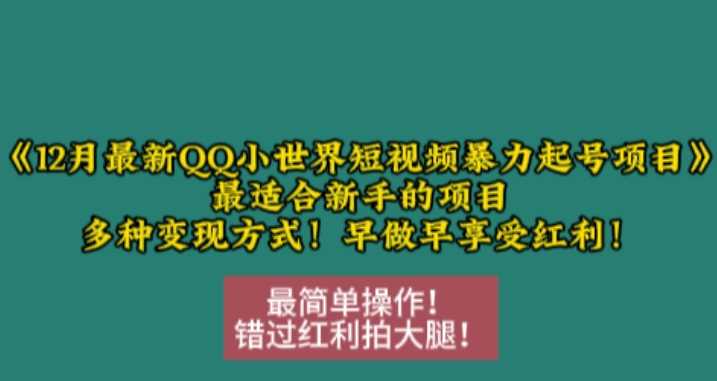 12月最新QQ小世界短视频暴力起号项目,最适合新手的项目,多种变现方式-轻创社项目网