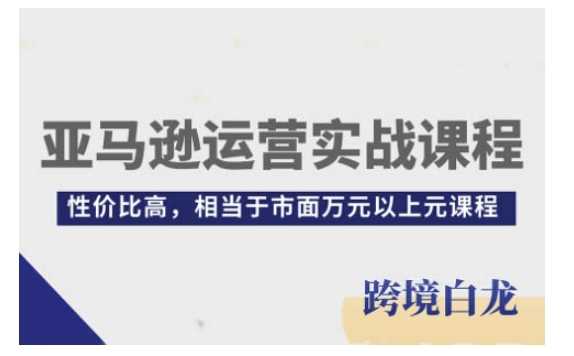 亚马逊运营实战课程,亚马逊从入门到精通,性价比高,相当于市面万元以上元课程-轻创社项目网