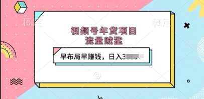 视频号年货项目,流量贼猛,早布局早挣钱,日入上k【揭秘】-轻创社项目网