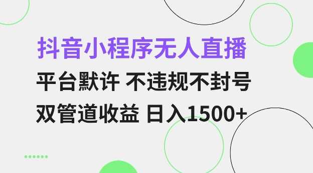 抖音小程序无人直播 平台默许 不违规不封号 双管道收益 日入多张 小白也能轻松操作【仅揭秘】-轻创社项目网