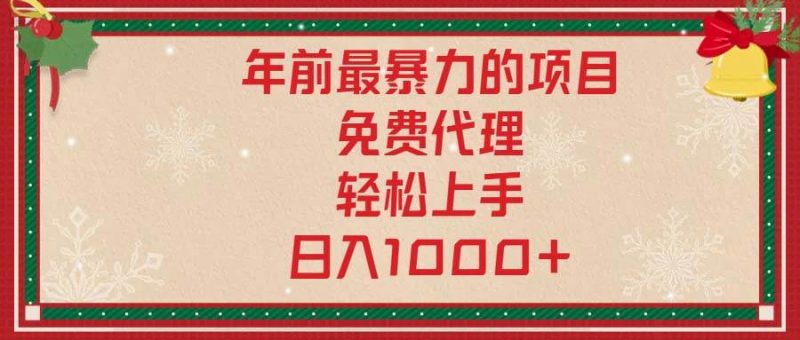 (13773期)年前最暴力的项目,免费代理,轻松上手,日入1000+-轻创社项目网