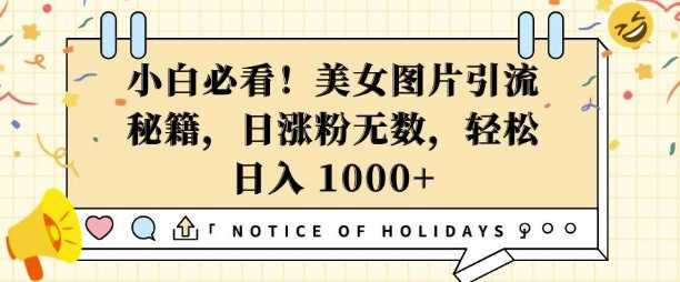 小白必看,美女图片引流秘籍,日涨粉无数,轻松日入几张【揭秘】-轻创社项目网