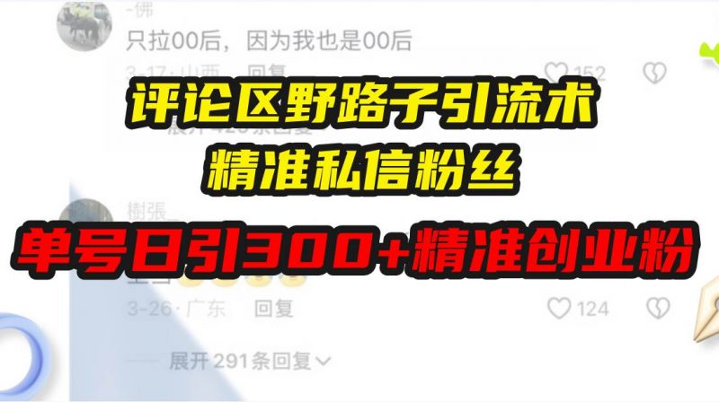 (13676期)评论区野路子引流术,精准私信粉丝,单号日引流300+精准创业粉-轻创社项目网