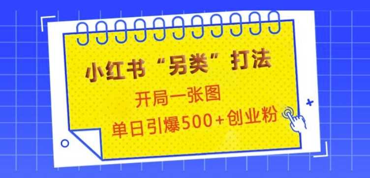 小红书“另类”打法,开局一张图,单日引爆500+精准创业粉【揭秘】-轻创社项目网