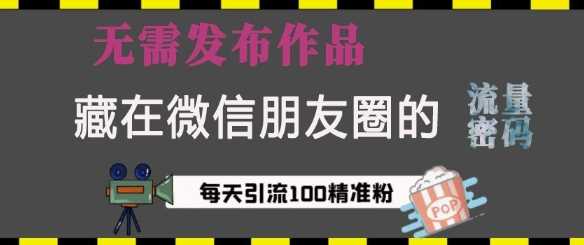 藏在微信朋友圈的流量密码,无需发布作品,单日引流100+精准创业粉【揭秘】-轻创社项目网