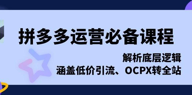 (13700期)拼多多运营必备课程,解析底层逻辑,涵盖低价引流、OCPX转全站-轻创社项目网