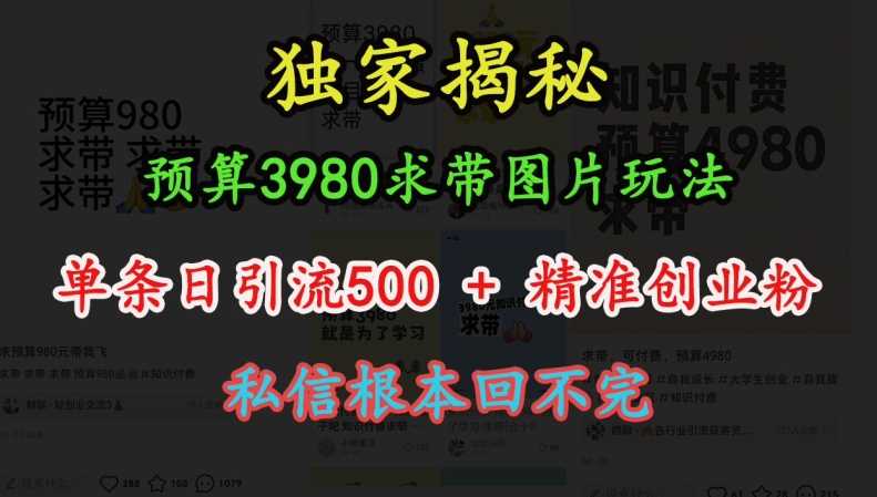 预算3980求带 图片玩法,单条日引流500+精准创业粉,私信根本回不完-轻创社项目网