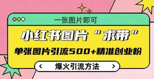 小红书图片‘求带’爆火引流法,单张图片引流500+精准创业粉【揭秘】-轻创社项目网
