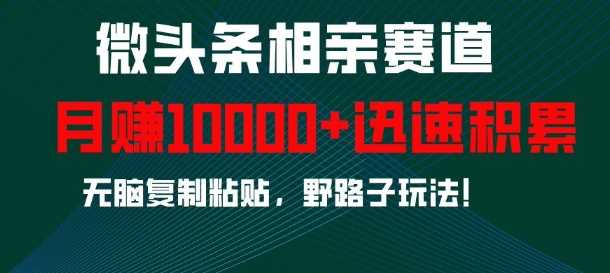 微头条相亲赛道,迅速积累,无脑复制粘贴,野路子玩法,月入1w-轻创社项目网