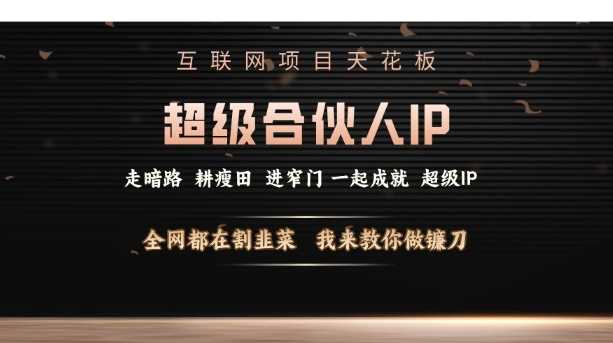 互联网项目天花板,超级合伙人IP,全网都在割韭菜,我来教你做镰刀【仅揭秘】-轻创社项目网
