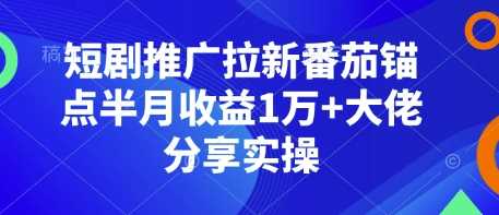 短剧推广拉新番茄锚点半月收益1万+大佬分享实操-轻创社项目网