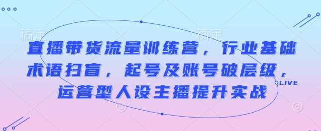 直播带货流量训练营,行业基础术语扫盲,起号及账号破层级,运营型人设主播提升实战-轻创社项目网