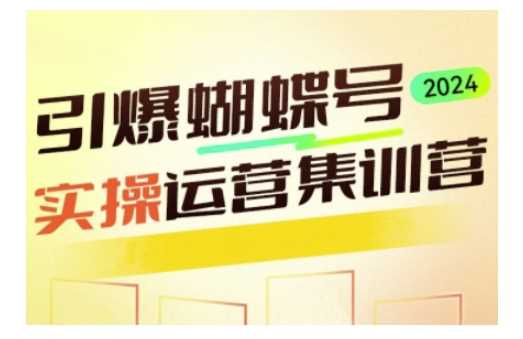 引爆蝴蝶号实操运营,助力你深度掌握蝴蝶号运营,实现高效实操,开启流量变现之路-轻创社项目网
