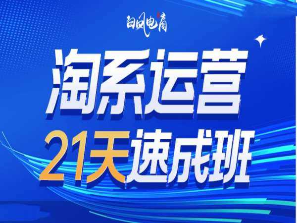 淘系运营21天速成班35期,年前最后一波和2025方向-轻创社项目网