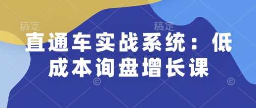 直通车实战系统:低成本询盘增长课,让个人通过技能实现升职加薪,让企业低成本获客,订单源源不断-轻创社项目网