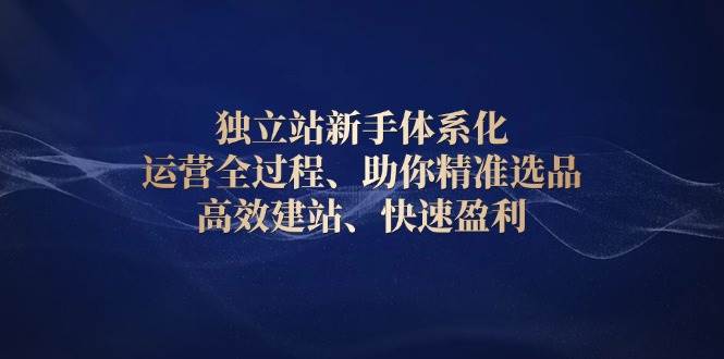(13914期)独立站新手体系化 运营全过程,助你精准选品、高效建站、快速盈利-轻创社项目网