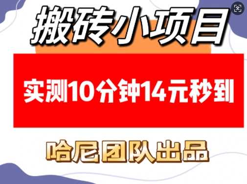 搬砖小项目,实测10分钟14元秒到,每天稳定几张(赠送必看稳定)-轻创社项目网