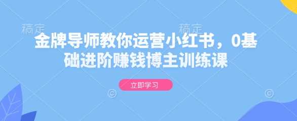 金牌导师教你运营小红书,0基础进阶赚钱博主训练课-轻创社项目网