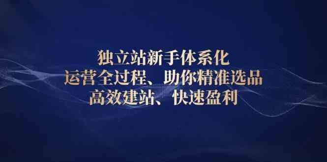 独立站新手体系化 运营全过程,助你精准选品、高效建站、快速盈利-轻创社项目网