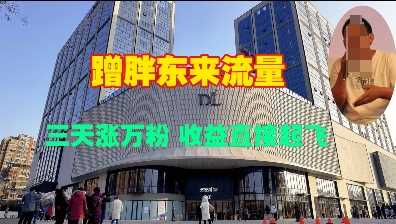 蹭胖东来流量,三天涨万粉,收益直接起飞-轻创社项目网