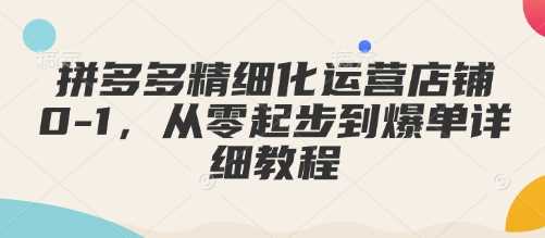 拼多多精细化运营店铺0-1,从零起步到爆单详细教程-轻创社项目网