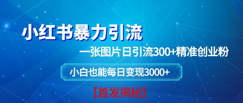 (13935期)小红书暴力引流法,一张图片日引 300+精准创业粉,每日稳定变现 3000+【揭秘】-轻创社项目网