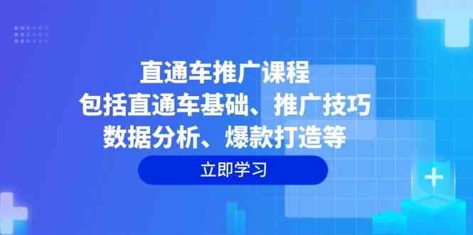 直通车推广课程:包括直通车基础、推广技巧、数据分析、爆款打造等-轻创社项目网