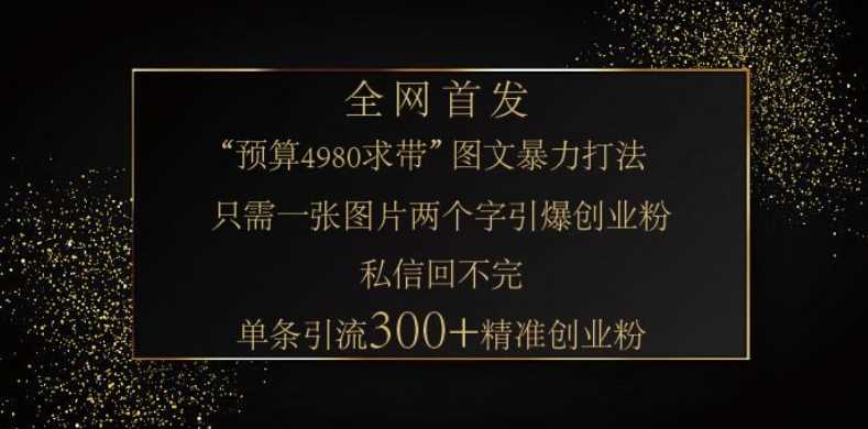 小红书神奇图片引流法,只需一张图,就能单条笔记凭借此方法,轻松引流 300 + 精准创业粉-轻创社项目网